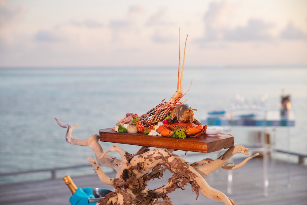 Manta Restaurant at Cocoon thumbnail 6